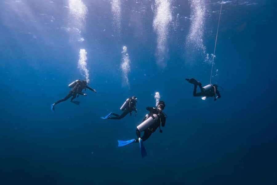 Isla Mujeres: Catamaran Ride with Open Bar, Snorkeling, and Lunch - Two hours to explore Isla Mujeres