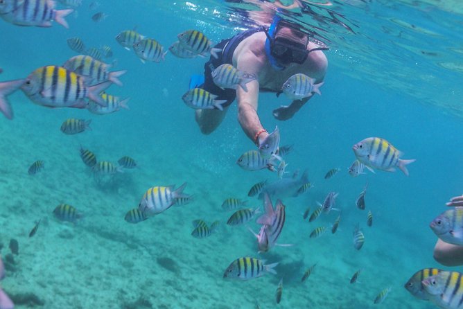 Isla Mujeres Luxury Sailing: Adults Only or Family Friendly - What the $129 price really buys you