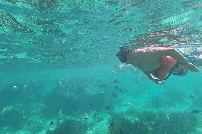 Isla Mujeres: Snorkeling Adventure at the Underwater Museum - Meeting at Señor Frog’s on Isla Mujeres