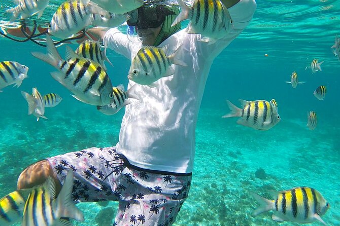 Isla Mujeres: Snorkeling Adventure at the Underwater Museum - Playa Norte brings the swimming to an easy finish
