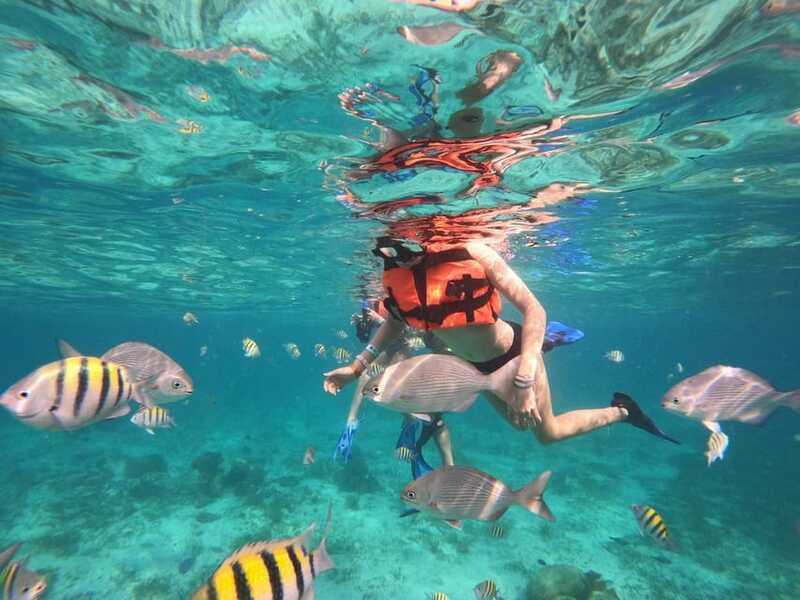 Isla Mujeres: Snorkeling Adventure at the Underwater Museum - Who should book this snorkeling trip?