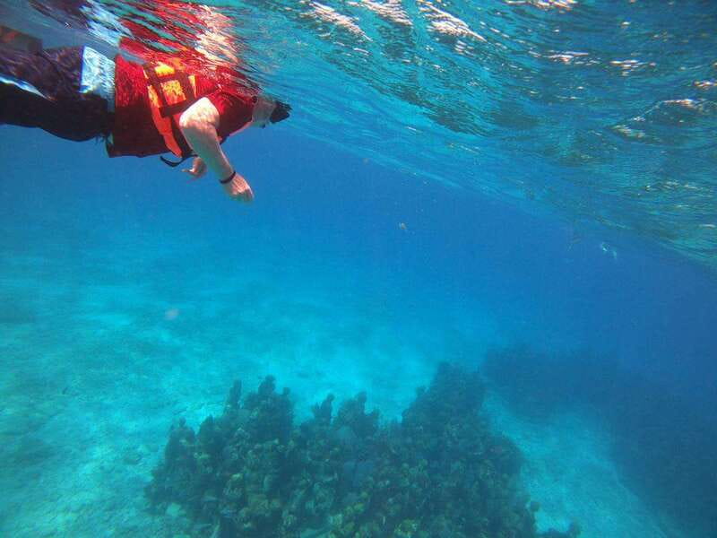 Isla Mujeres: Snorkeling Adventure at the Underwater Museum - Should you book it?