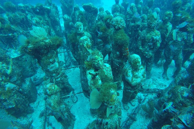 Isla Mujeres Snorkeling Tour Adventure - Stop two: The middle reef and changing conditions