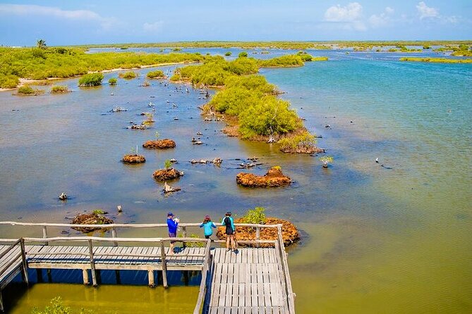 Jeep Safari All Inclusive Private Tour - Guides make more difference than the Jeep