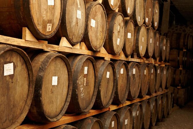 José Cuervo Tequila Day Experience from Guadalajara - Key points at a glance