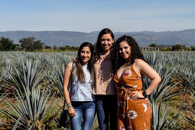 José Cuervo Tequila Day Experience from Guadalajara - Lunch, timing, and the shared-van tradeoff