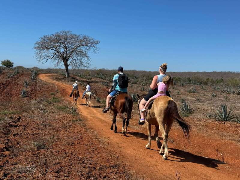 Jungle and beach horseback ride + lunch + mezcal - Who Will Enjoy This Mazatlán Outing