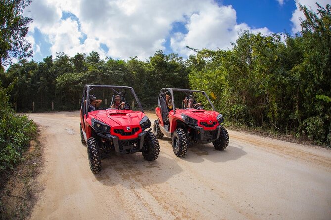 Jungle Buggy Tour from Playa del Carmen Including Cenote Swim - The ride begins with jungle roads and plenty of dust