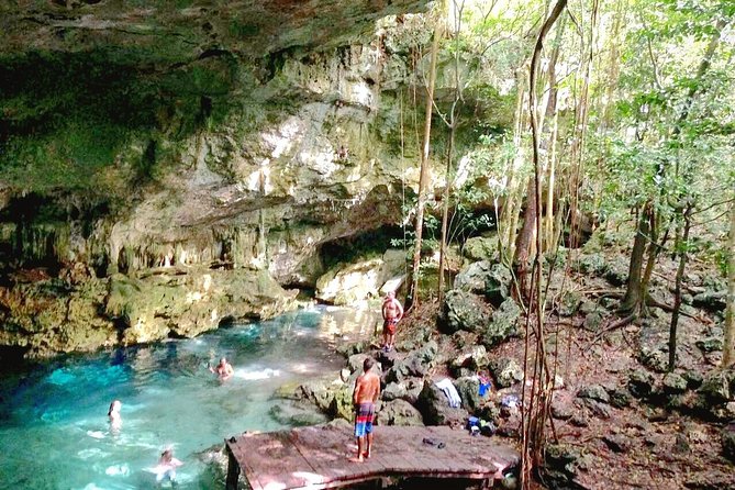 Jungle Buggy Tour from Playa del Carmen Including Cenote Swim - Fernando, Rigo, and the human side of the tour