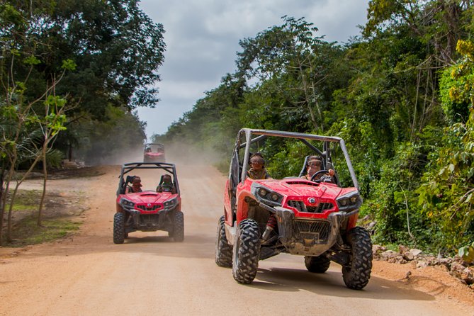 Jungle Buggy Tour from Playa del Carmen Including Cenote Swim - The cenote is the calm reward at the end