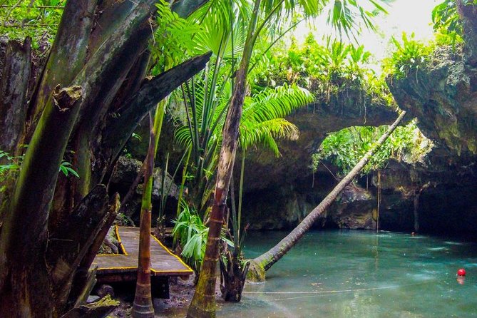Jungle Jeep Adventure to Mayan Caves, Cenote and Snorkel - A five-hour Cozumel sampler with a rough edge