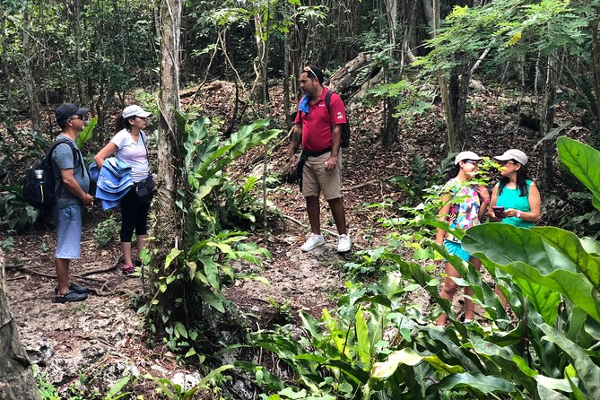 Jungle Jeep Adventure to Mayan Caves, Cenote and Snorkel - The ride to the Jade Caverns