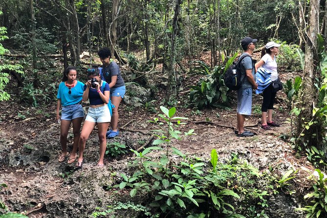 Jungle Jeep Adventure to Mayan Caves, Cenote and Snorkel - Dzul Ha Reef and the coastal finish