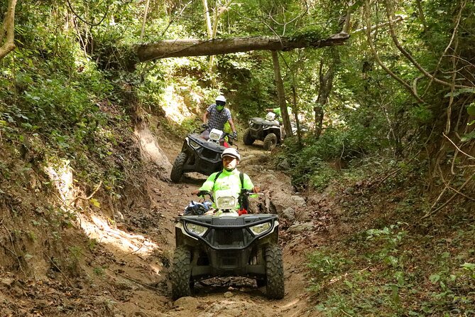 Jungle Single ATV Tour "El Mirador" - Pickup, timing, and the practical details