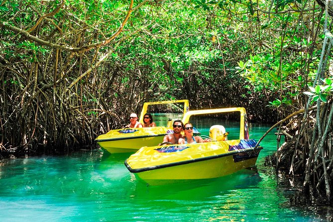 Jungle Tour with Snorkel in Cancun - Should you book the Jungle Tour with Snorkel?