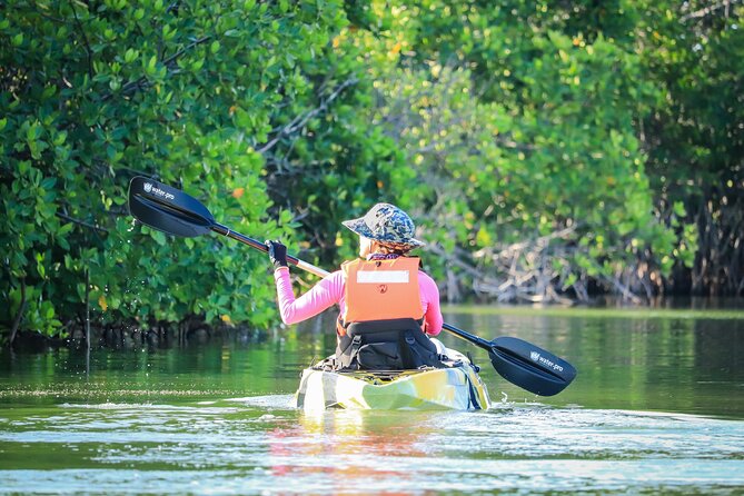 Kayak Adventure in Cancun - Why an early 6 AM start may be worth it
