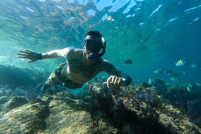 Kayak Expedition to the Arch of Cabo San Lucas, Lovers Beach & Snorkel - Lovers Beach and the contrast at Divorce Beach