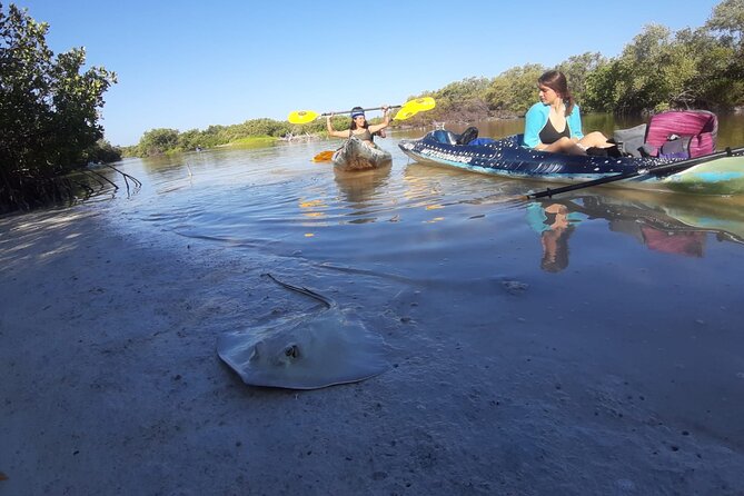 Kayak Experience in the Mangroves of Holbox Island - Starting at Punta Mosquito