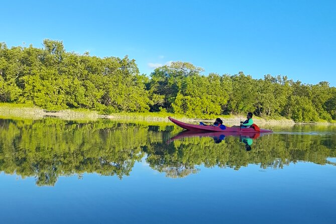 Kayak Experience in the Mangroves of Holbox Island - Is $56.75 a fair price?