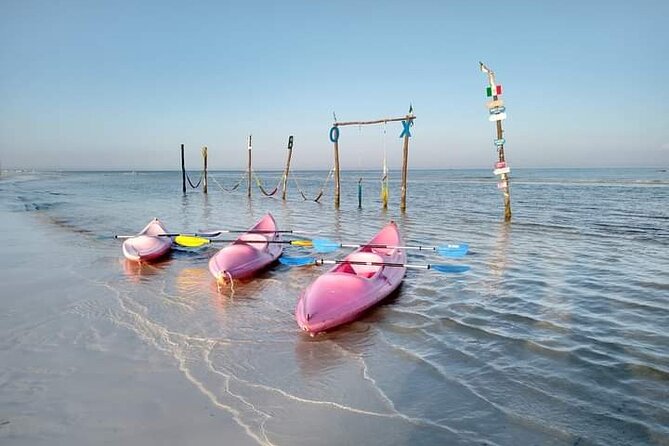 Kayak Experience in the Mangroves of Holbox Island - Morning, afternoon, and sunrise choices
