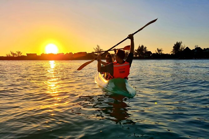 Kayak Mangroves Sunrise Experience - Wildlife watching and photography from a kayak