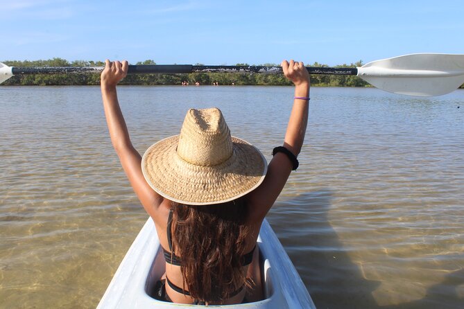 Kayak Mangroves Sunrise Experience - A gentle three-hour outing, not a race