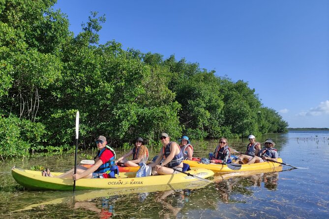 Kayak TOUR POR Laguna Nichupte Cancun - What you might see in the mangroves