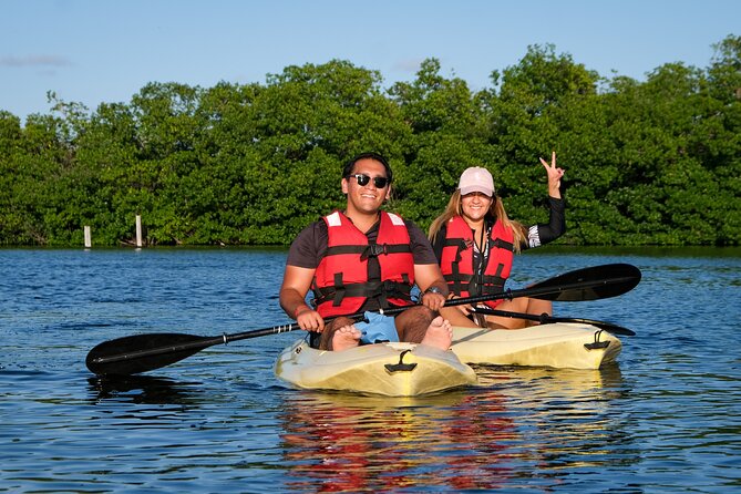 Kayaking Tour in Cancun - Two hours through mangrove channels