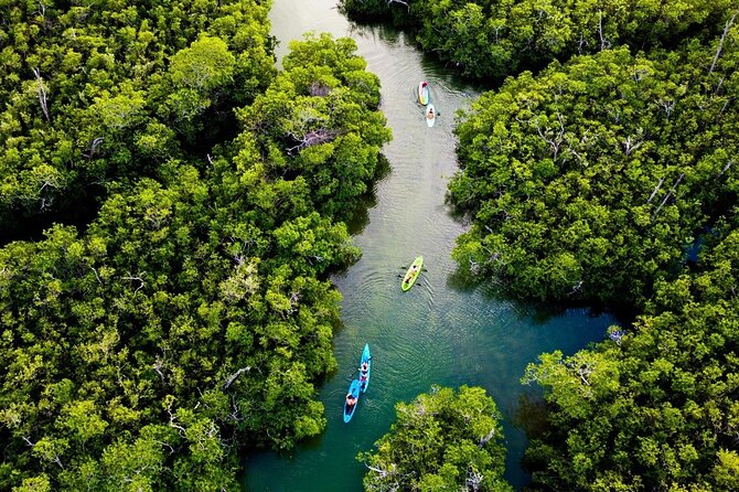 Kayaking Tour in Cancun - The value of a 2.5-hour guided paddle