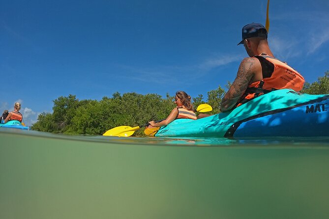 Kayaking Tour Through the Mangroves in Isla Holbox - Why the guide can make or break the outing