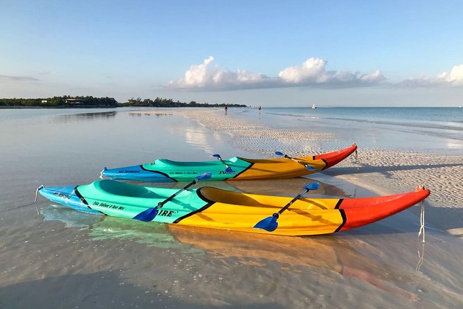Kayaking Tour Through the Mangroves in Isla Holbox - Paddling into the mangrove channels