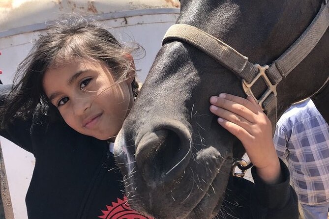 La Bufadora, Markets & Horseback Beach Ride Shore Excursion - How to make the day run smoothly