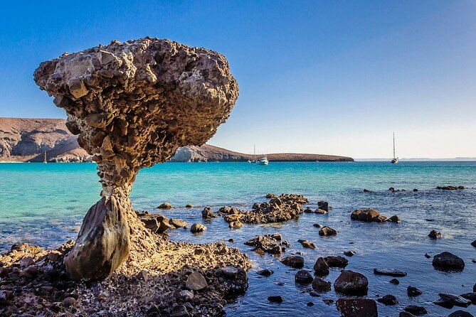 La Paz, Balandra and Todos Santos from CABO and San Jose - How to make the day go better