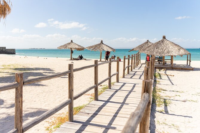 La Paz Beaches Half Day Tour - Ceviche, coolers, and the useful beach setup