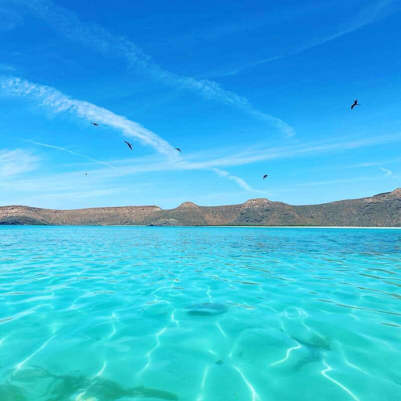 La Paz: Espiritu Santo Island Tour - Why Espíritu Santo makes a strong day trip from La Paz