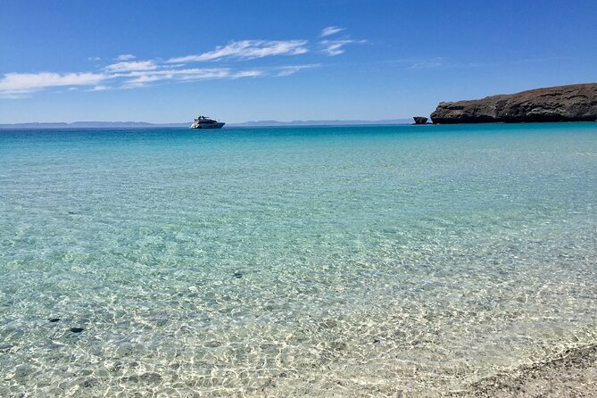 La Paz Whale Shark & Sea Lion Snorkeling + Balandra Tour - Is six hours enough?