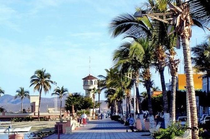 La Paz Whale Shark Snorkeling Tour and Lunch From Los Cabos - Lunch, drinks, and the practical extras