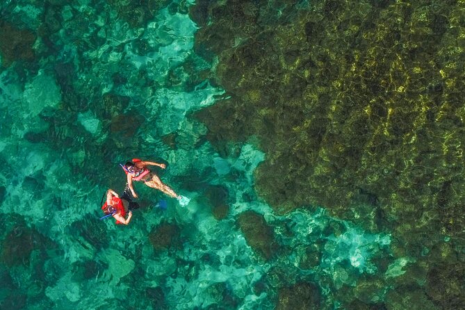 La Paz World Class Snorkeling in Balandras Hidden Beaches - Is $219 a fair price?