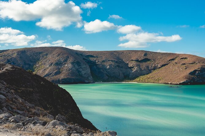 La Paz World Class Snorkeling in Balandras Hidden Beaches - Who should book this day trip?
