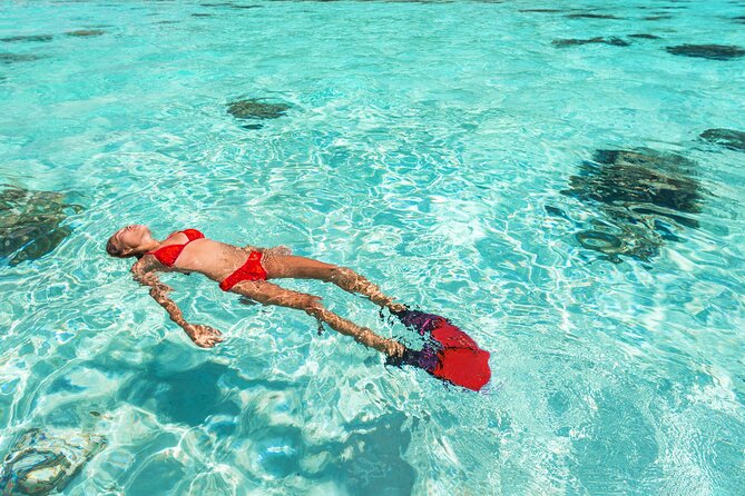 La Paz World Class Snorkeling in Balandras Hidden Beaches - Boarding at Pichilingue Port