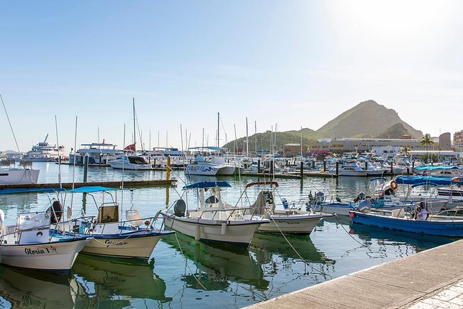Land’s End Experience – Arch, Beaches & Marine Life - Who will enjoy this Cabo outing most