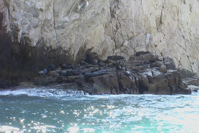 Land's End Tour Basic - Why Land’s End is the right focus for a short Cabo tour