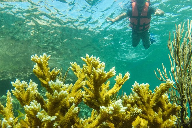 Local Fishing Plus Snorkeling Tour in Isla Mujeres - Two hours of fishing off Isla Mujeres