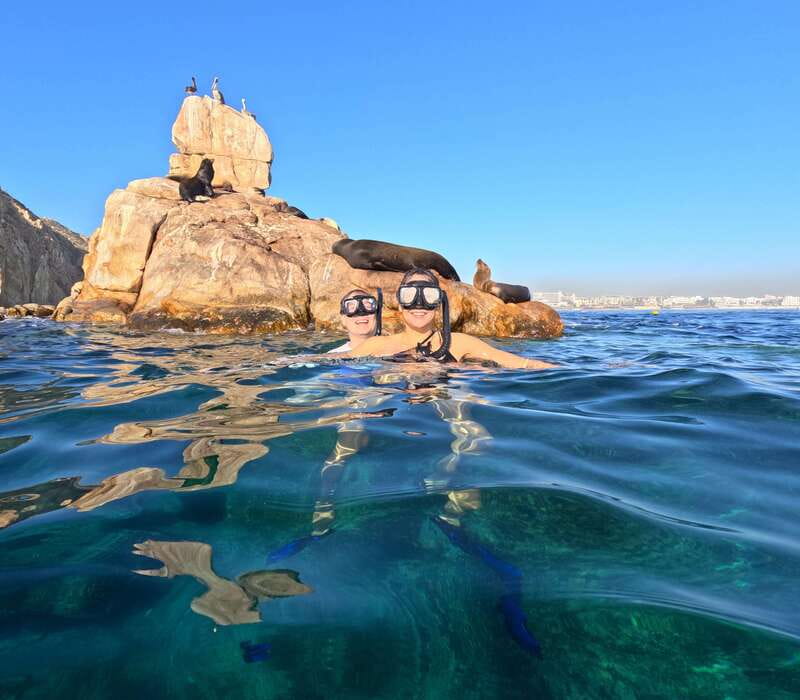 Los Cabos Arch & Lover’s Beach Tour + Snorkeling Tour - Pelican Rock is the main event for swimmers