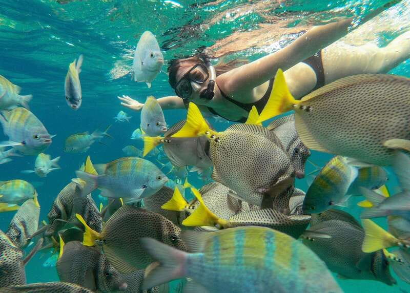 Los Cabos Arch & Lover’s Beach Tour + Snorkeling Tour - Who should book this experience?