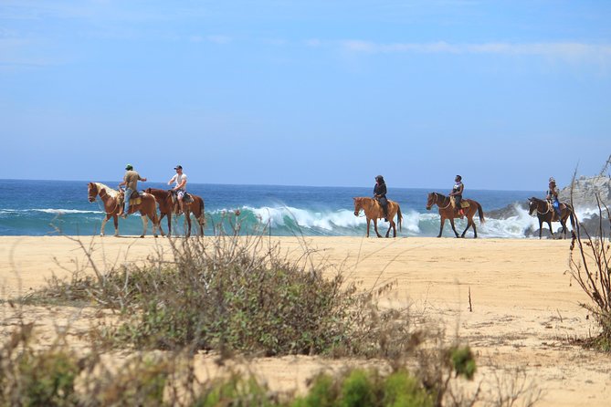 Los Cabos ATV and Pacific Horseback Riding Combo Tour - Getting comfortable with horses and ATVs