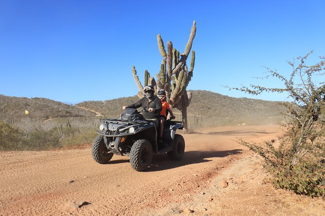 Los Cabos - COMBO Horseback Riding & ATV Tour - Who will enjoy this best?