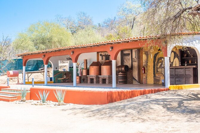 Los Cabos Costa Azul Zipline Eco-Adventure - Who Will Enjoy This Most