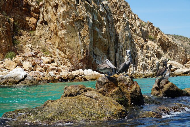 Los Cabos Deluxe City Tour: San Jose, San Lucas and The Arch - Cabo San Lucas from the bay
