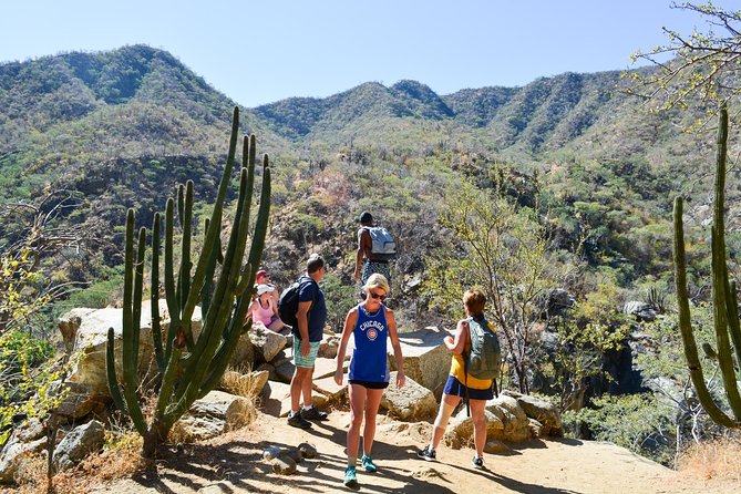 Los Cabos: Hiking at the Fox Canyon with Waterfall - Waterfalls, pools, slides, and optional cliff jumps